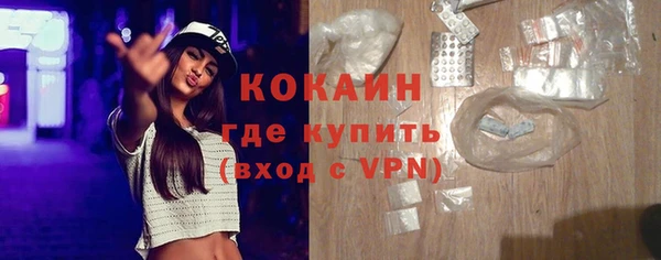 шишки Тутаев