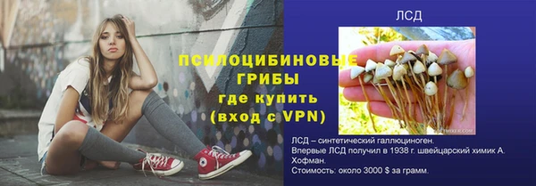 apvp Алзамай
