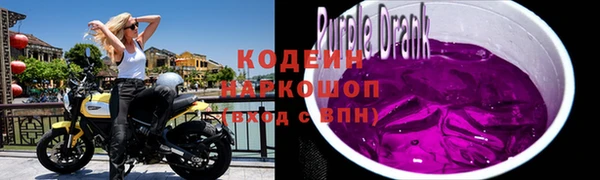 твердый Туринск