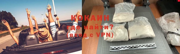 твердый Туринск