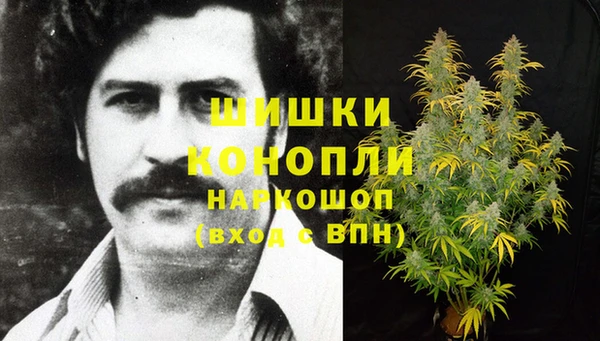 шишки Тутаев