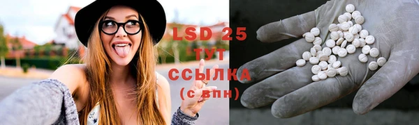 твердый Туринск
