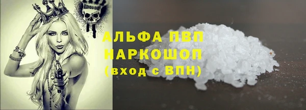 СК Тында