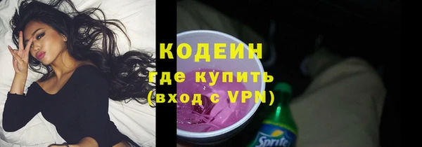 шишки Тутаев