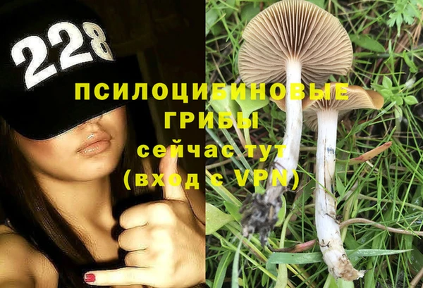 ешки Алексеевка