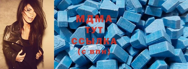 твердый Туринск