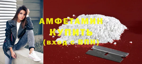 твердый Туринск