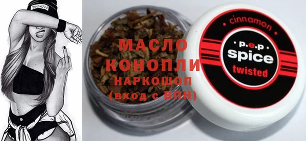 твердый Туринск