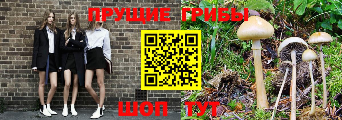 Псилоцибиновые грибы MAGIC MUSHROOMS  Галлюциногенные грибы Cubensis  Шали 