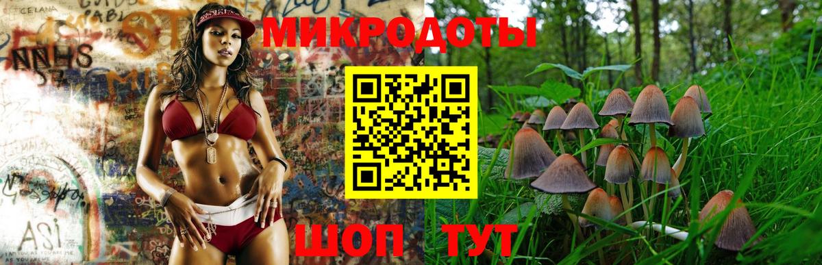 Псилоцибиновые грибы GOLDEN TEACHER Шали