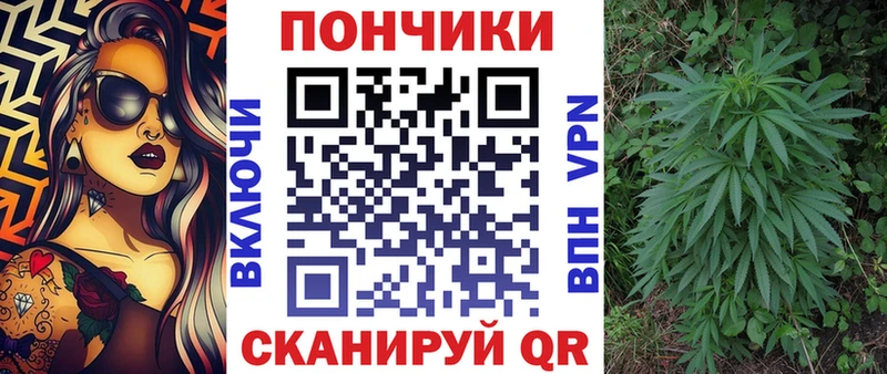 Бошки марихуана White Widow  кракен как войти  Шали  наркошоп 